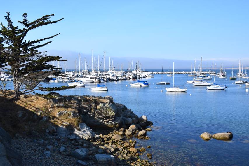 07-09_05_019_DSC_2637---Monterey---Von_Monterey_Bay_Coastal_Trail_kl.jpg