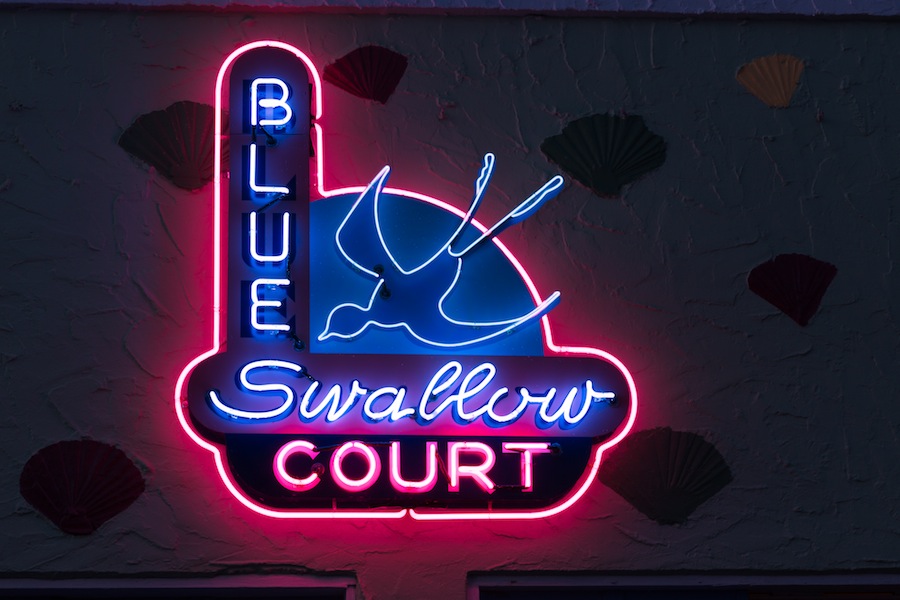 18_blue-swallo-new-neon.jpg