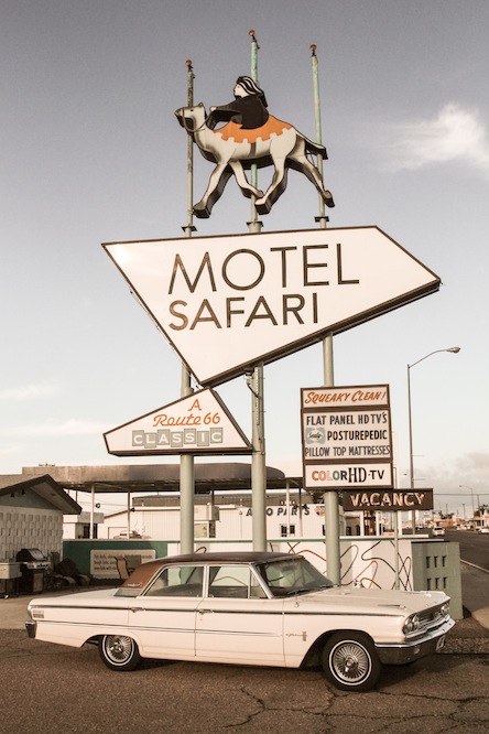 29_motel-safari-2.jpg