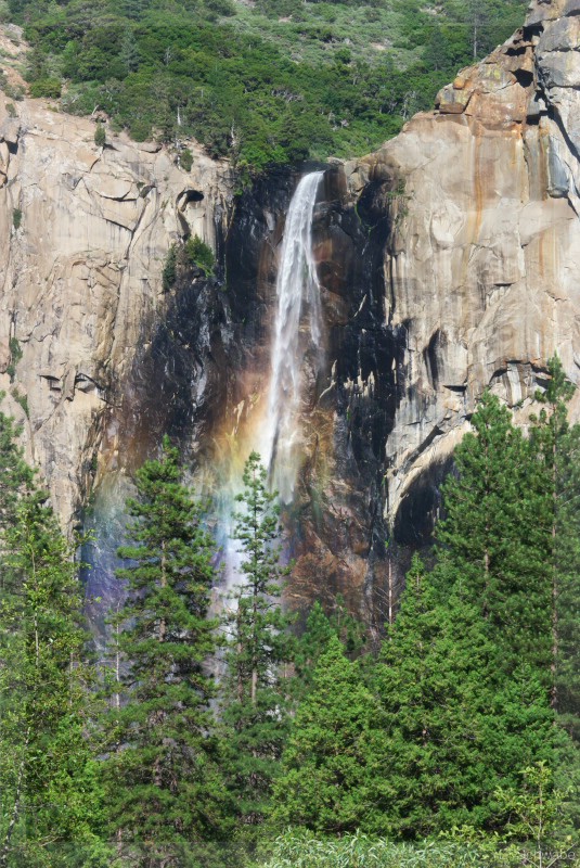 Yosemite_12.jpg