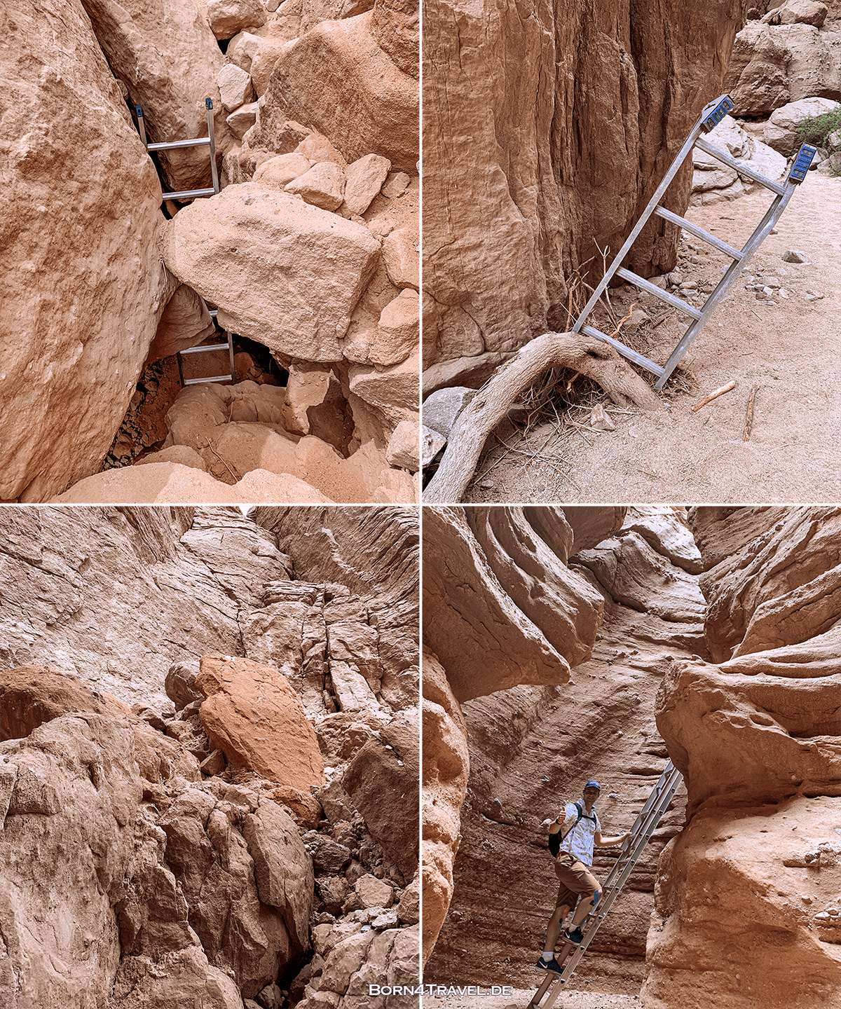 ladder-in-canyon.png