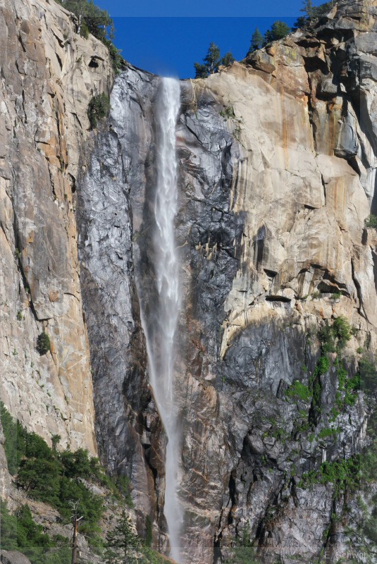 Yosemite_28.jpg