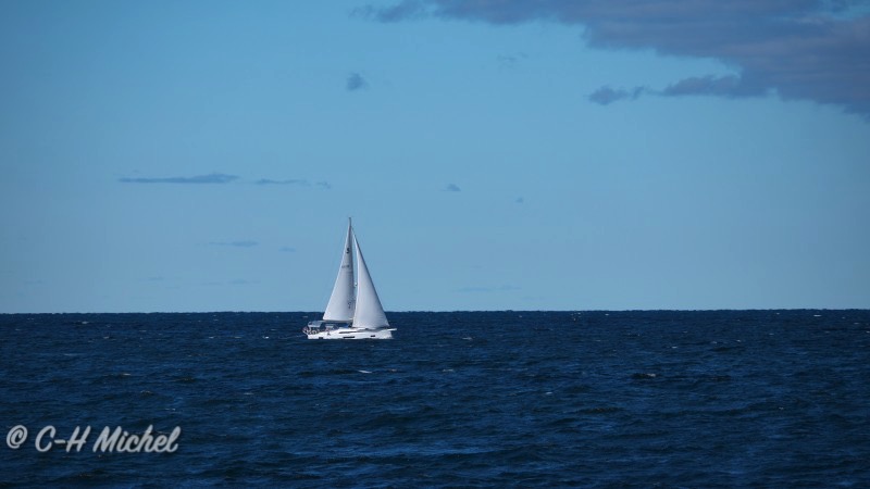 08.10-Cape Cod MA-Hyannis-Whale Watching Cruise_11.jpg