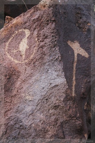 Petroglyph%20NM03.jpg