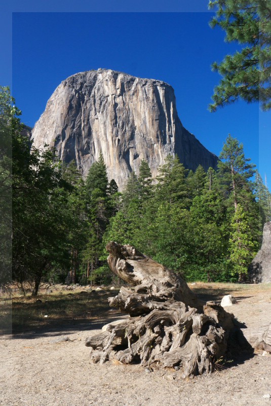 Yosemite_29.jpg