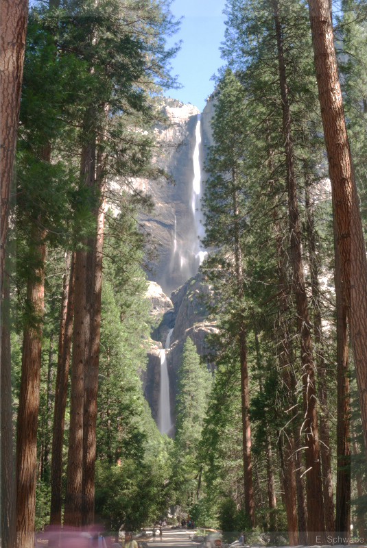 Yosemite_22.jpg